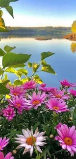 Serene lake view with pink flowers and green leaves.