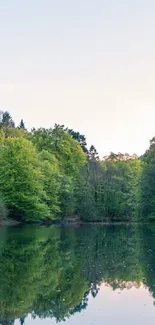 Serene lake with forest and rocky cliffs in tranquil setting.