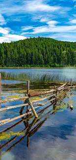 Scenic view of a lake, green forest, and blue sky, perfect for mobile wallpaper.