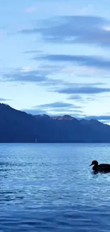 Serene view of ducks on a lake with mountain backdrop at sunset.