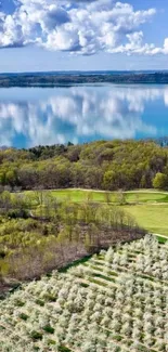 Aerial view of lake and blooming orchard in spring.