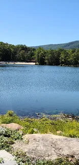 Serene lake with lush forest and clear blue sky background.