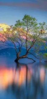 Serene landscape wallpaper with tree and lake reflection at sunrise.