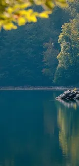 Serene lake with forest backdrop reflecting in tranquil waters.