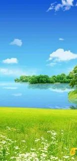 Serene lake with blue sky and green landscape mobile wallpaper.