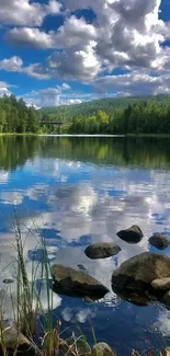 Reflective lake with trees and cloudy sky, perfect for nature wallpaper.