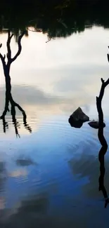 Serene lake with branches and rippling water reflection.