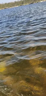 Serene lake at sunset with golden brown waters and gentle ripples.