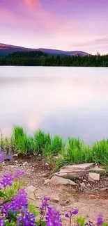 Beautiful sunset over a tranquil lake with purple skies and greenery.