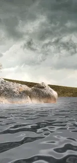 Serene lake with stormy sky background.