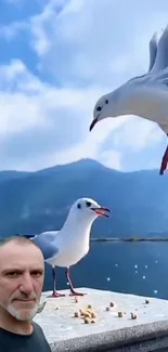 Seagulls flying over a serene lake with mountains in the background.