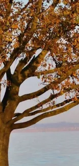 Serene autumn tree by the lake with golden leaves and calming waters.