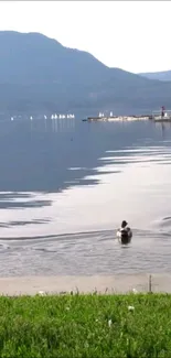 Duck swimming in a serene lake with mountain backdrop.