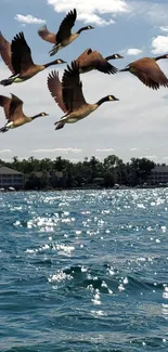 Geese flying over a sparkling lake against a bright blue sky.