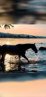 Horse strolling in a serene lakeside setting at sunrise.