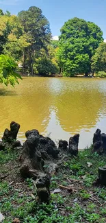 Serene landscape with trees and a reflective lake.