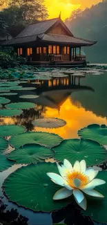 Serene cottage by a lotus pond with reflections at sunset.