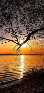 Silhouetted branches over a lakeside sunset with orange reflections.