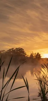 Serene sunset over a misty lake with silhouettes of trees and reeds.