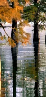 Serene lakeside wallpaper with tree reflections.