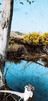 Lakeside view with serene tree reflection and blue water under clear sky.