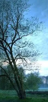 Serene landscape with trees and a misty blue sky.