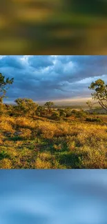 Serene landscape with trees and dramatic sky.