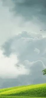 Green landscape with clouds and birds.