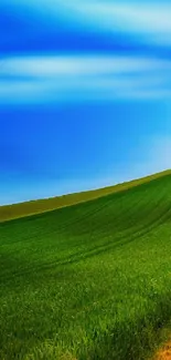 Serene landscape with green fields under a blue sky.