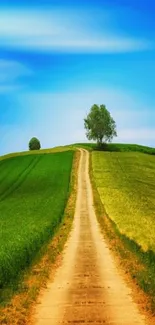 Serene path through green fields under a bright blue sky wallpaper.