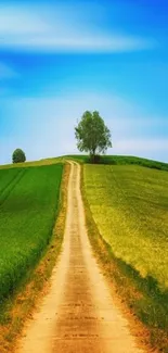 Dirt path through green hills under a blue sky.