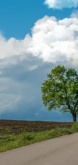 Scenic view with a tree and road under a bright blue sky with clouds.