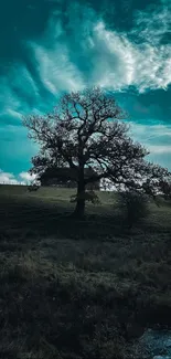 A solitary tree under a cyan sky, capturing serene beauty in a landscape.