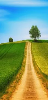 Scenic wallpaper with a path through green hills under a blue sky.