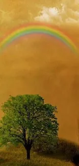 Mobile wallpaper with a rainbow, golden sky, and green tree.