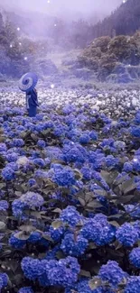 Lavender field with person and umbrella under a misty sky.