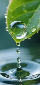 Water droplet on leaf above rippling water.