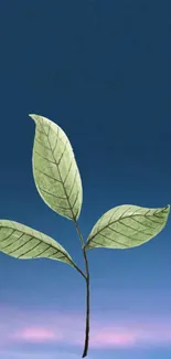 Green leaves against a tranquil blue sky background.