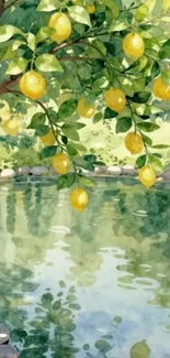 Lemon tree branch reflecting over a calm pond.