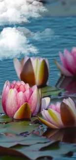 Pink lotus flowers floating serenely with a cloudy sky above.