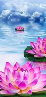 Vibrant pink lotus flowers on calm blue water under a serene sky.