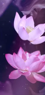 Elegant pink lotus flowers on a serene purple background.