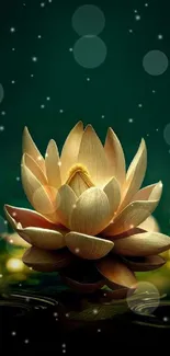 Elegant lotus flower with ambient lighting on emerald green background.