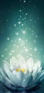 Serene lotus flower glowing with sparkling stars on a teal background.