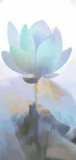 Serene lotus flower mobile wallpaper with pastel hues and tranquil vibes.