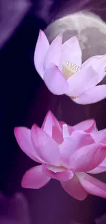 Purple and pink lotus under a full moon.