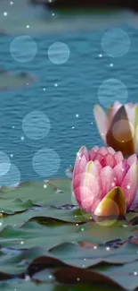 Serene mobile wallpaper of lotus pond with bokeh sparkles.