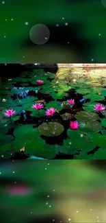 Calm pond with blooming pink lotuses and serene green leaves.