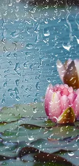 Serene lotus flowers with raindrops on a blue pond background.