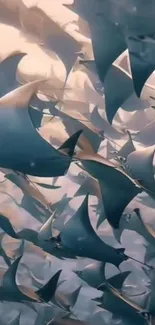 A school of manta rays gliding underwater.